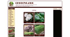 Desktop Screenshot of chudovo.org